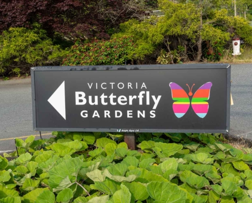 Butterfly Gardens, Victoria, Canada