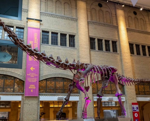 Royal Ontario Museum, Toronto, Canada