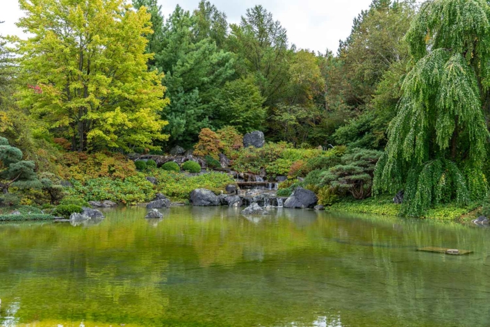 A Guide to the Montreal Botanical Garden: Things to See and Do - Ace ...