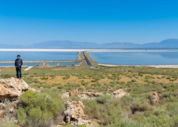 Ace and Antelope Island, Utah, United States