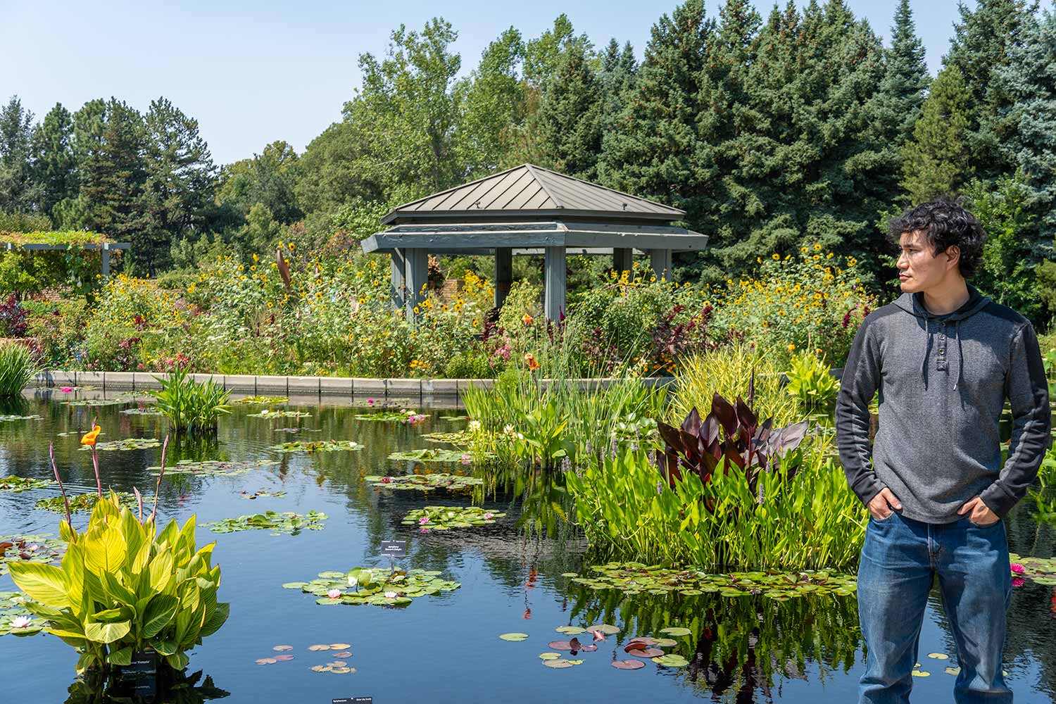 Ace and Monet Pool, Denver Botanic Gardens, Colorado, United States