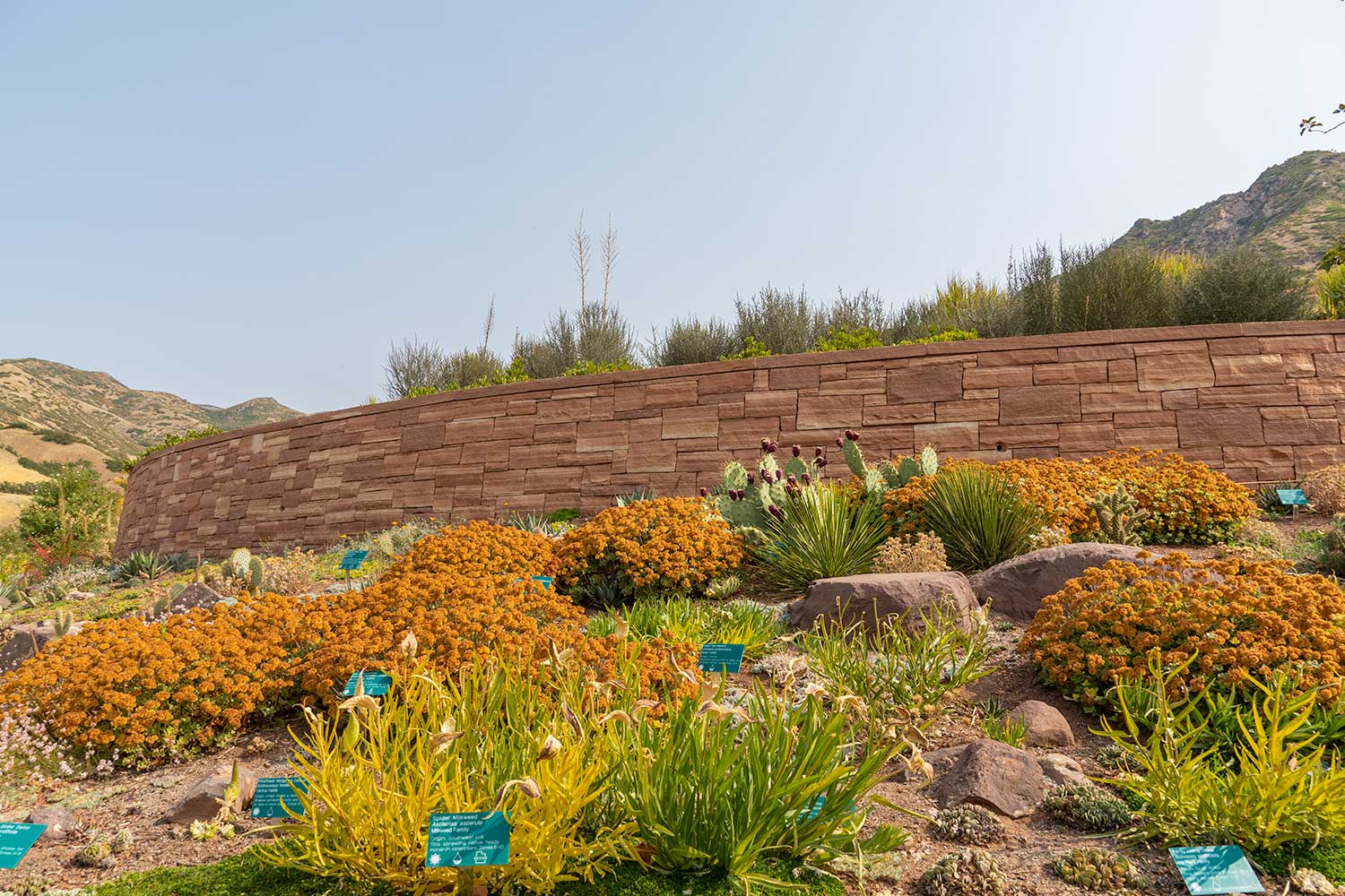 Colorful Plants, Red Butte Garden, Salt Lake City, Utah, United States