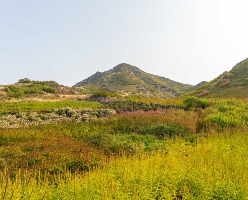 Red Butte Garden Landscape, Salt Lake City, Utah, United States