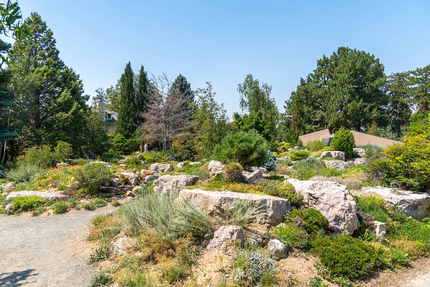 Rock Alpine Garden 2, Denver Botanic Gardens, Colorado, United States