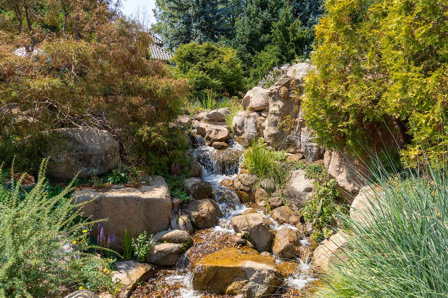 Rock Alpine Garden Stream, Denver Botanic Gardens, Colorado, United States