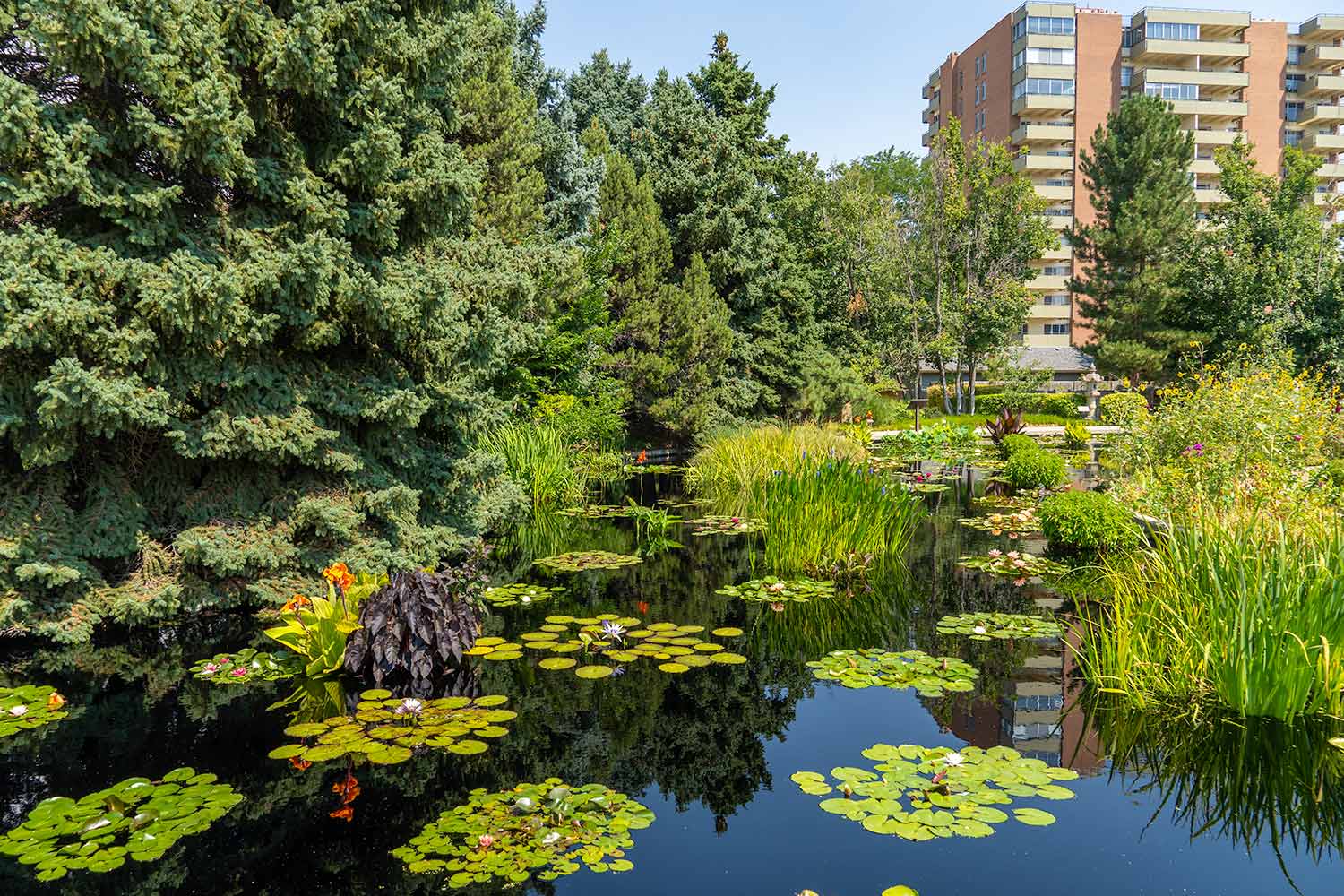 Water Garden, Denver Botanic Gardens, Colorado, United States