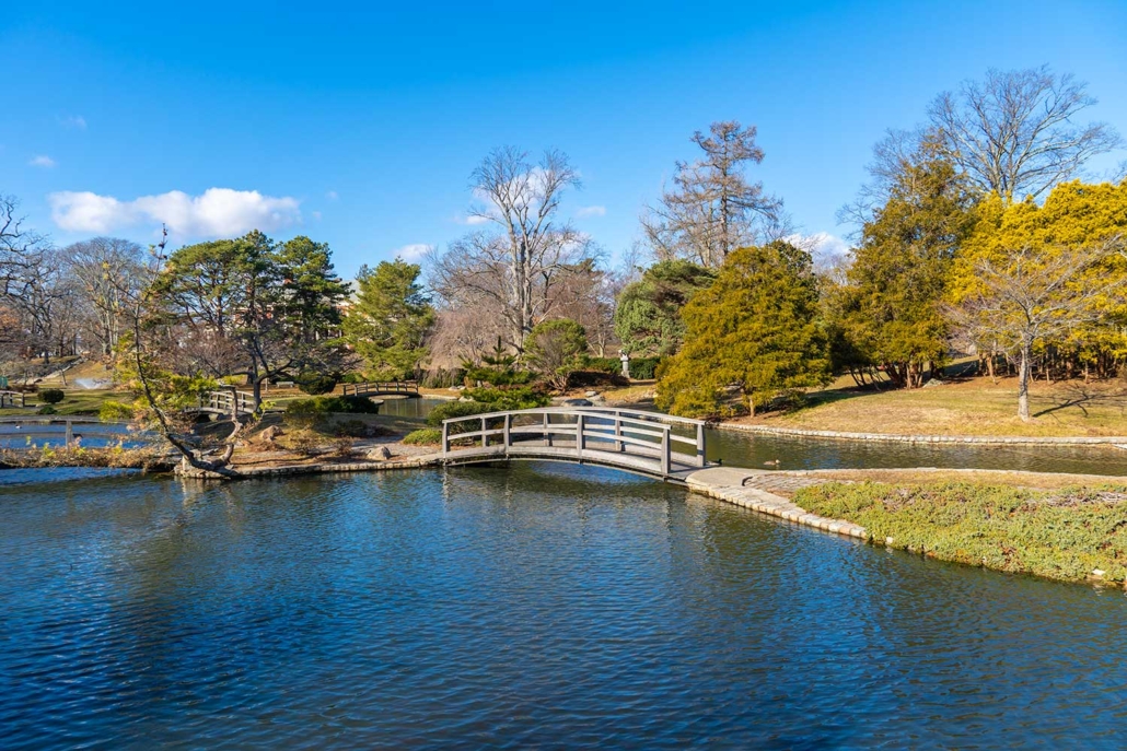 Visiting Roger Williams Park - Ace Adventurer