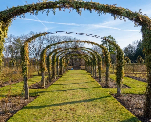 Elizabeth Park Rose Garden, Hartford, Connecticut